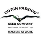 dutch_passion_seeds